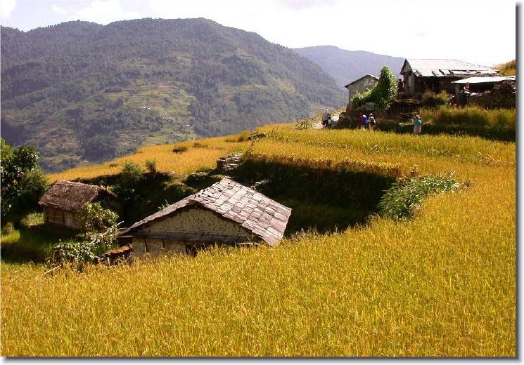 Click for the original image